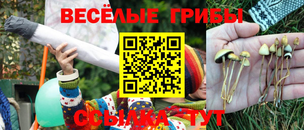 Галлюциногенные грибы Cubensis Феодосия